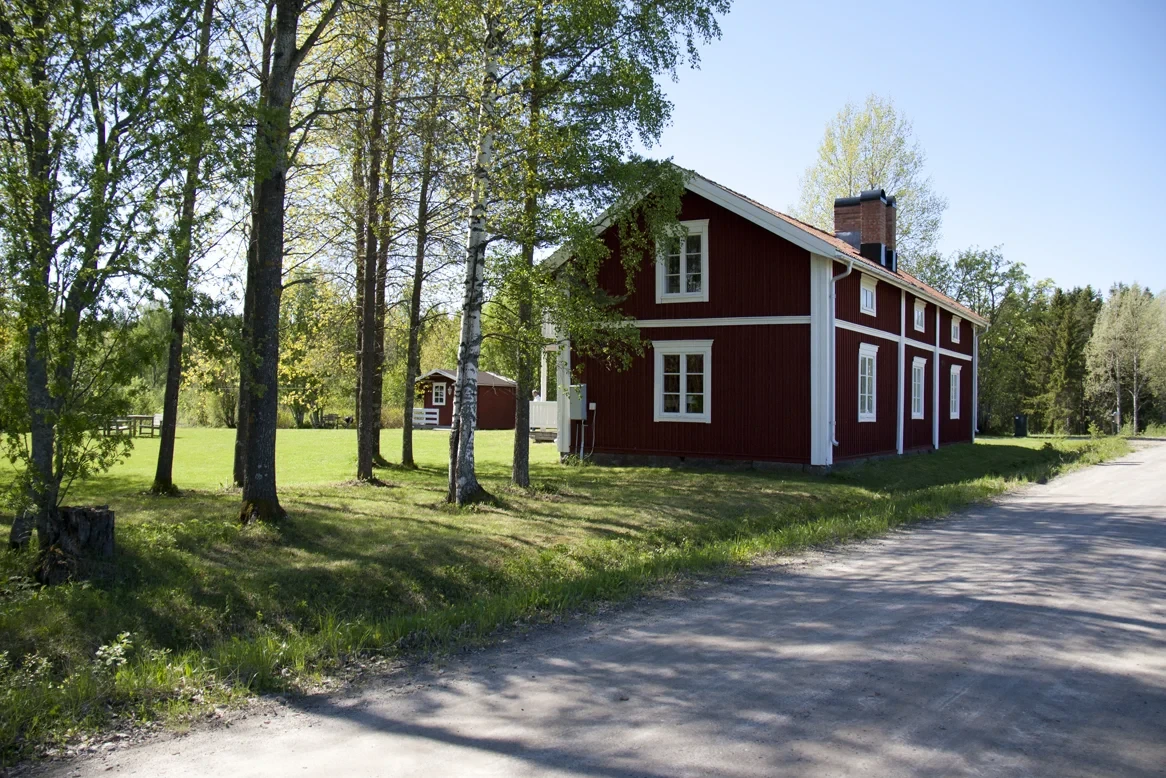 Baksida