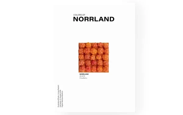 colorsofnorrland_hjortron.jpg