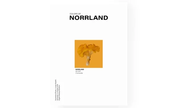 colorsofnorrland_kantarell.jpg