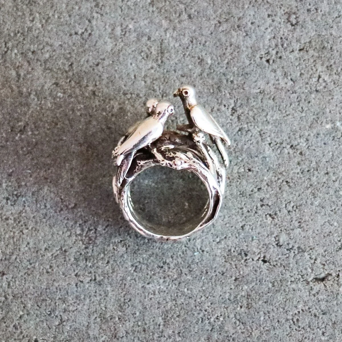 skogfågelringsilver.jpeg